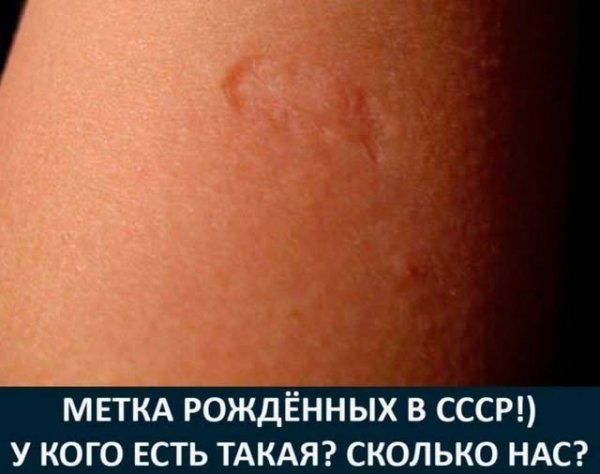 Aa9c28e7f9 19831166