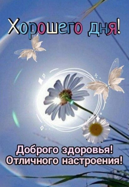 picture_396678655