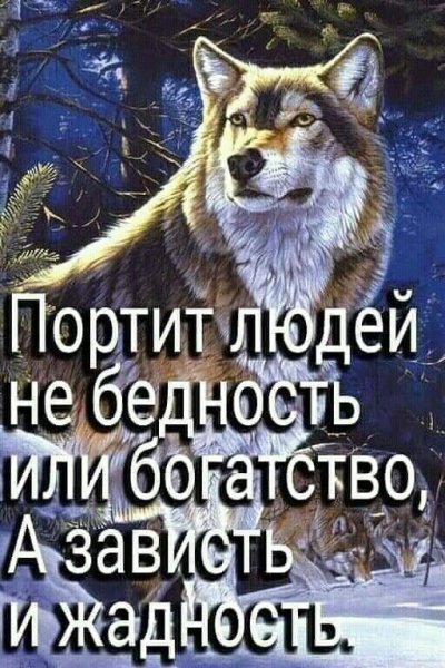 bc3f8f2fc59a201f5be6637a4f9e