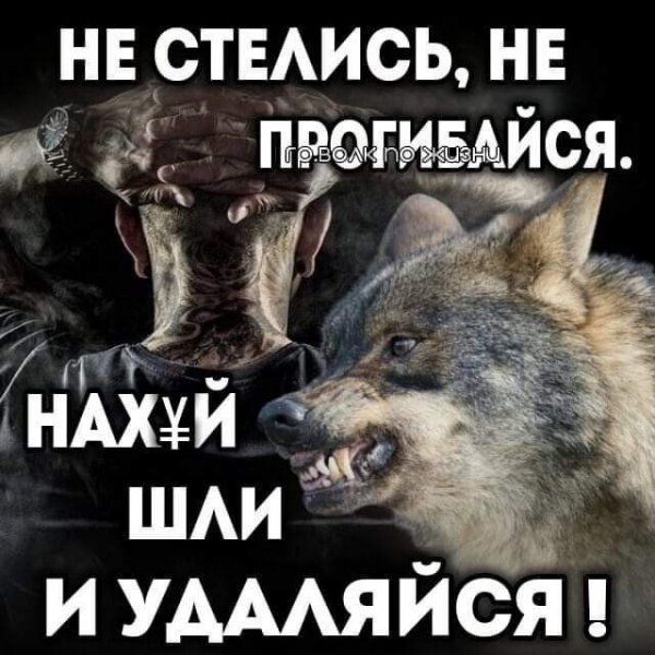 Cebe92100559da42d1918194c885aaed