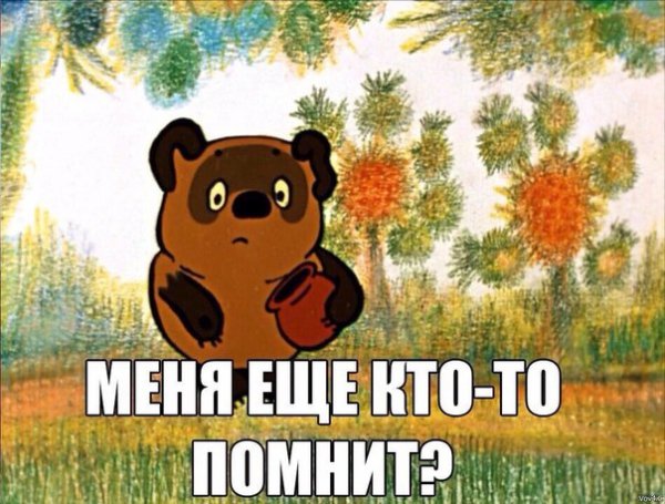 6FHi2zc1KKU