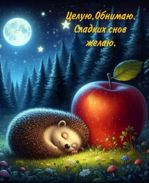 IMG-20250423-WA0029
