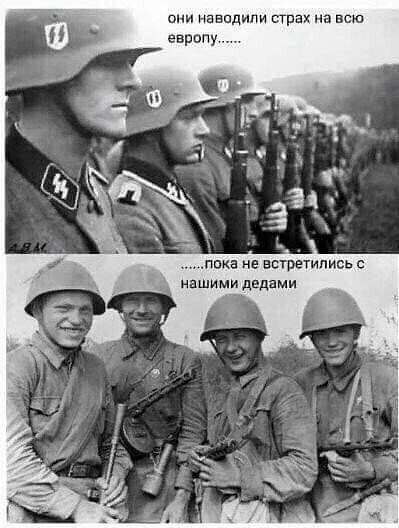 image (13)
