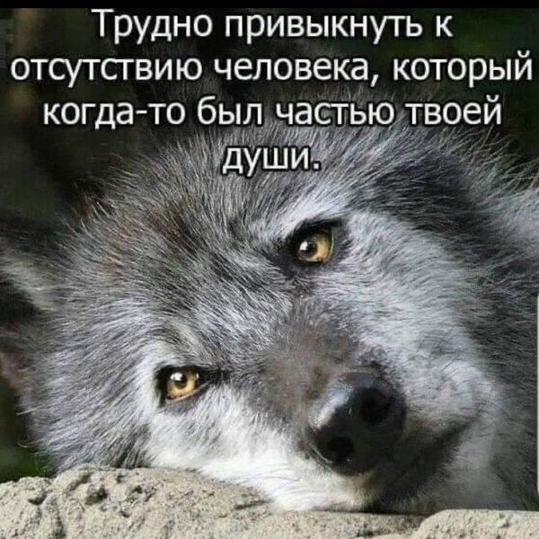 Aacfe868ca8c2e65149c75707c4084dd