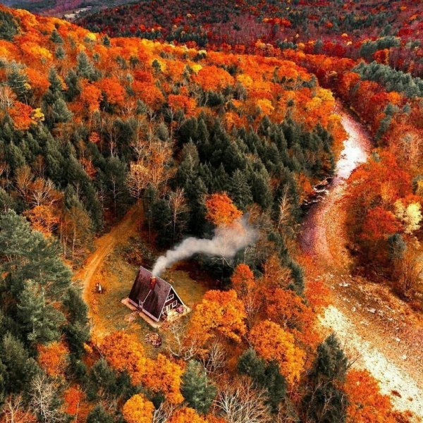Шикарная осень