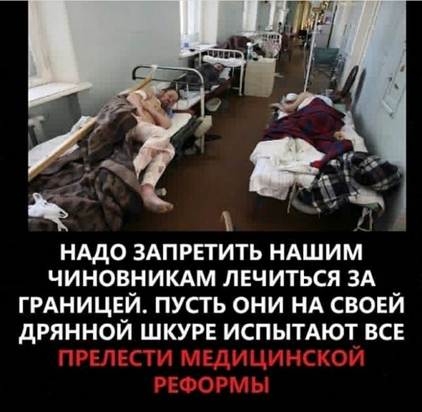 picture_257869596