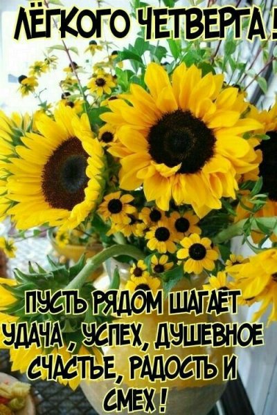 9ad2-4e8c-aed3-7b1944e2a216
