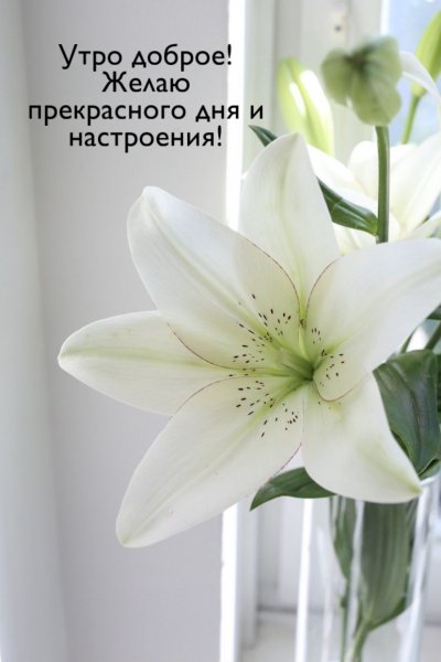 IMG-20250619-WA0002