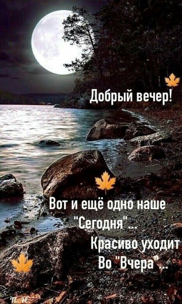 5cf8dac5-8bb7-439a-a368-05d8e51af252
