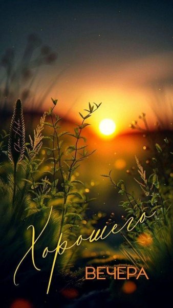 bc4-3927-4464-ae3a-fd0ab6d85ae8