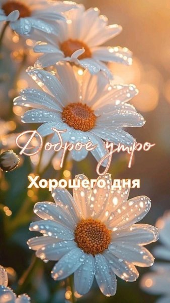 picture_388817229