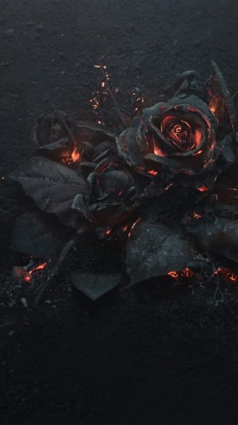 fire-wallpaper-1080x1920-38-576x1024