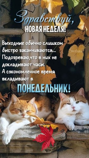 IMG-20251020-WA0015