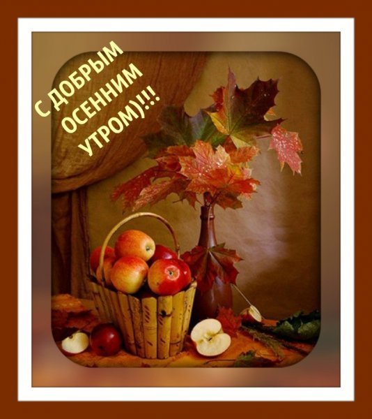Друзья мои!!!