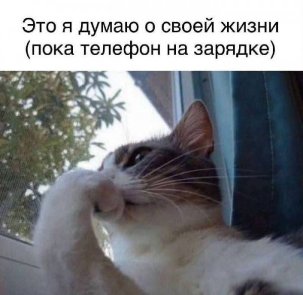 )