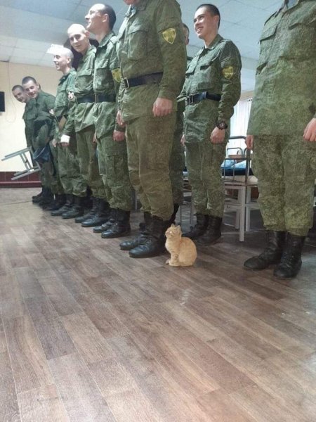 - Рядовой рыжик! - Я!