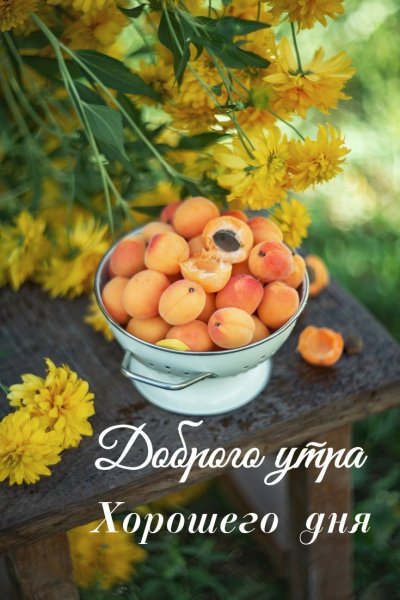 Доброго утра Хорошего дня
