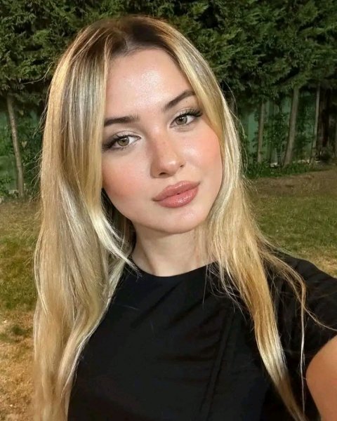 picture_392802527