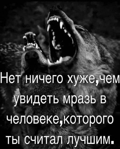 d3113d65fe4f2a6e23dedea1506-