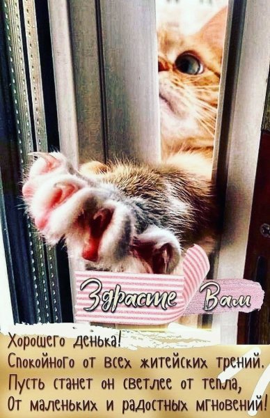 Пусть каждое УТРО приносит новые возможности!!!