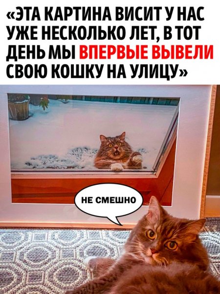 КотЭ)