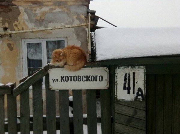 КотЭ)