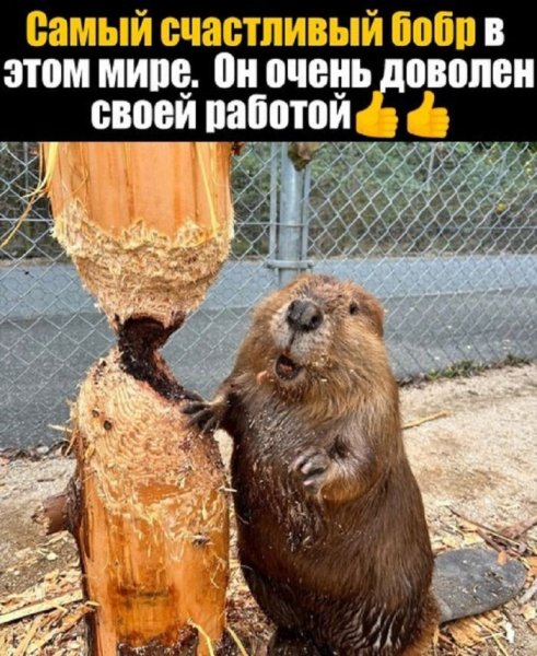 )
