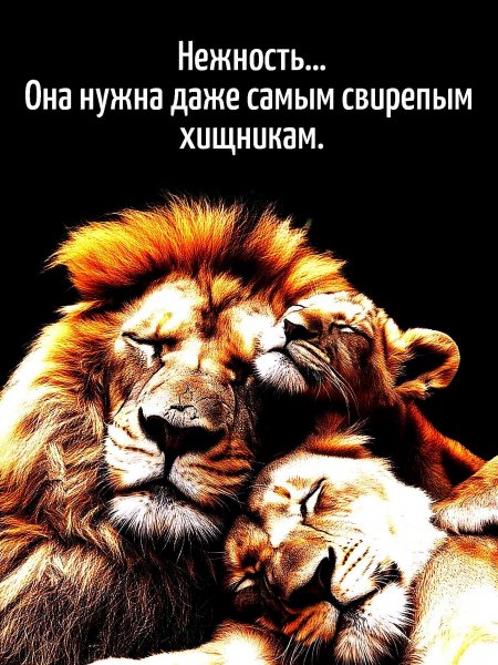 В точку