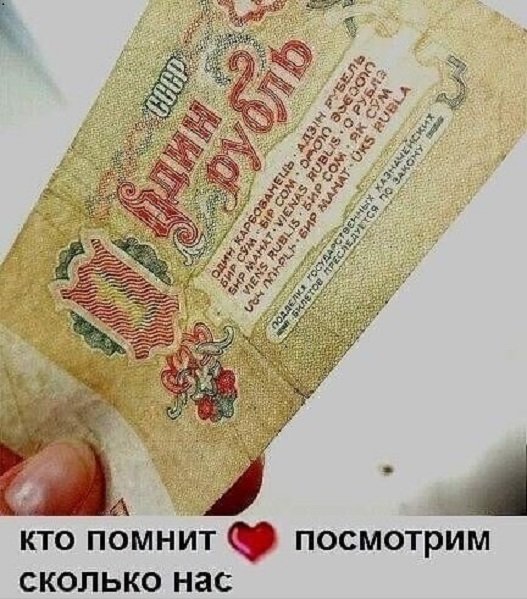 picture_308569293
