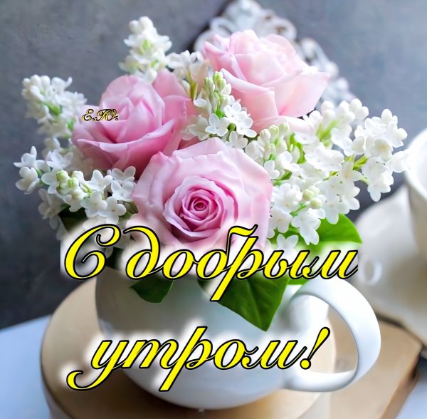 С добрым утром!