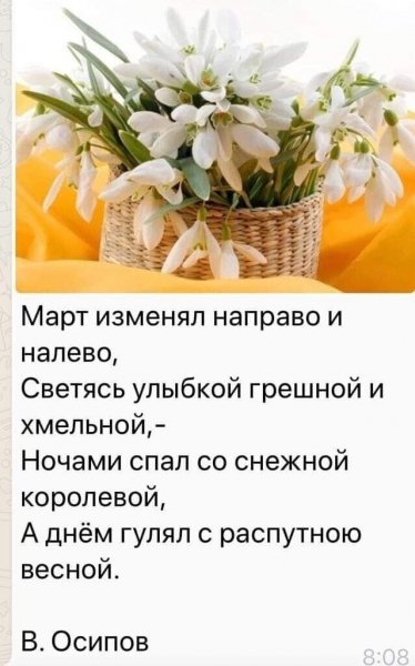 image (2) (14)
