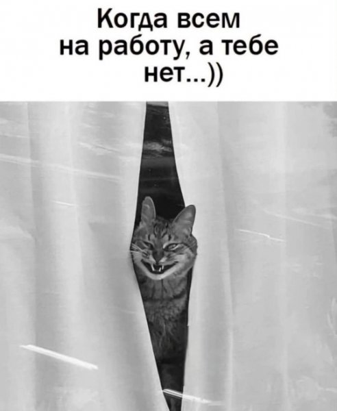 Хи - Хи)