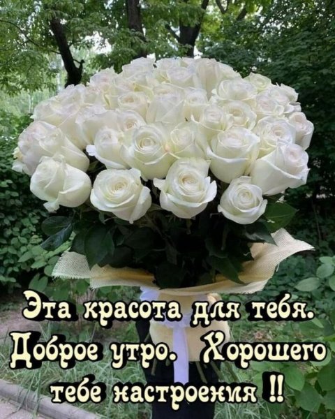 Ca86eddb2bf75c24a35264f8582f5947