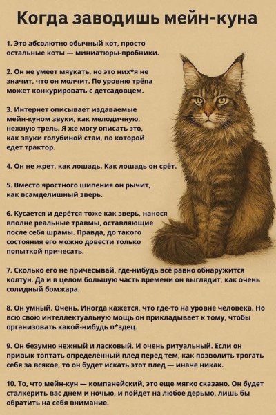 КотЭ)
