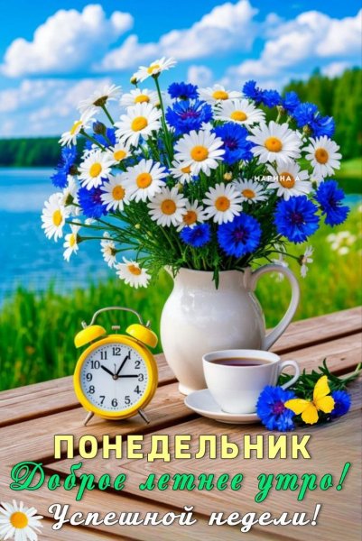 Доброе летнее утро!