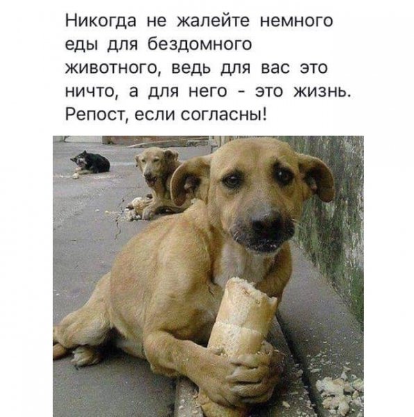 Доброта