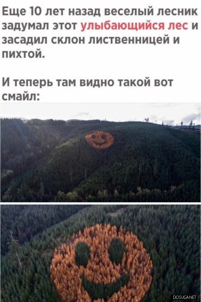 Хорошо мужик прикололся)