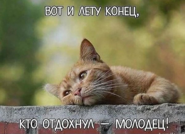 Вот и лету конец...