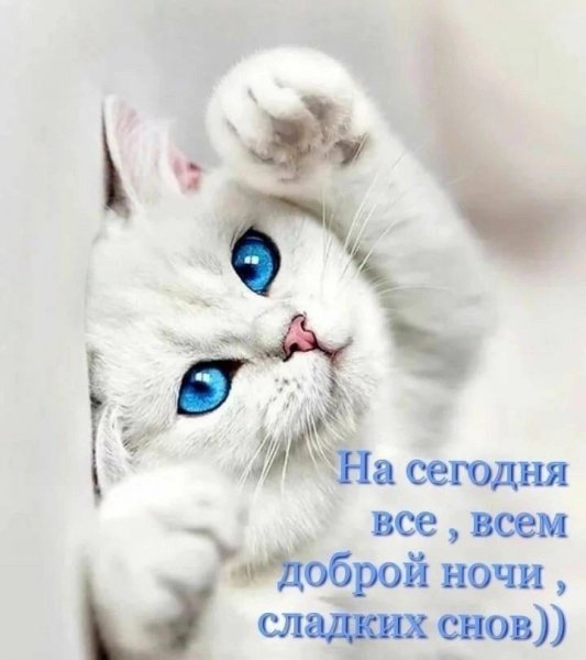 picture_385816520