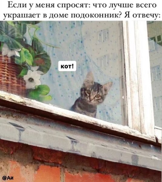 КотЭ)