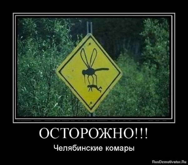Осторожно! Челябинские комары
