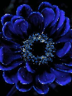 file_21069857