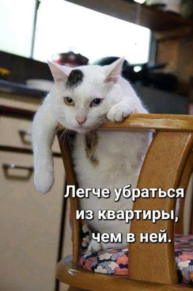 file_102857606