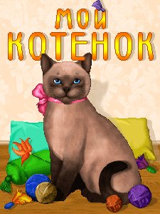 мой котёнок