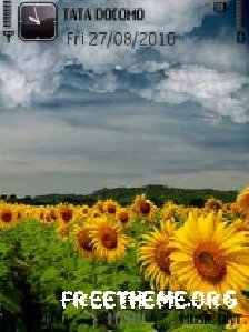 подсолнушки