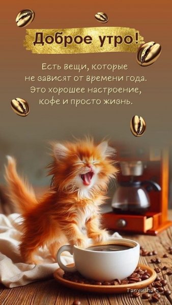 Cca598dd35db82946ba25cda4f7a0dfd