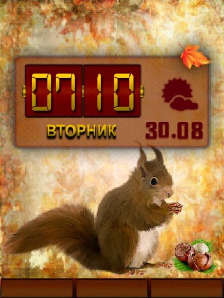 Белка День-Ночь