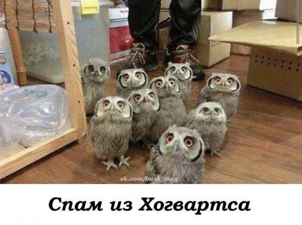 FB IMG 1778525238629