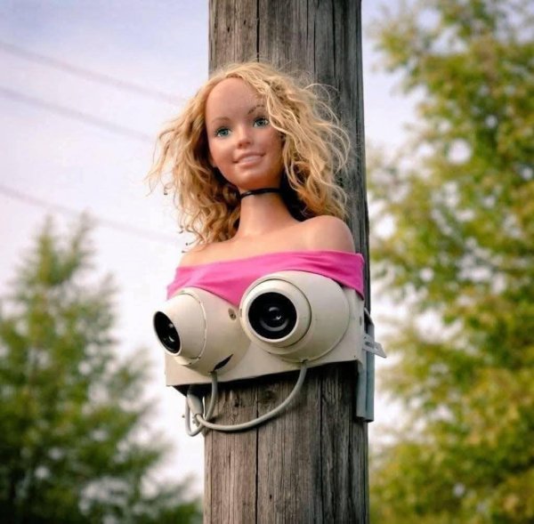 FB IMG 1776363528788