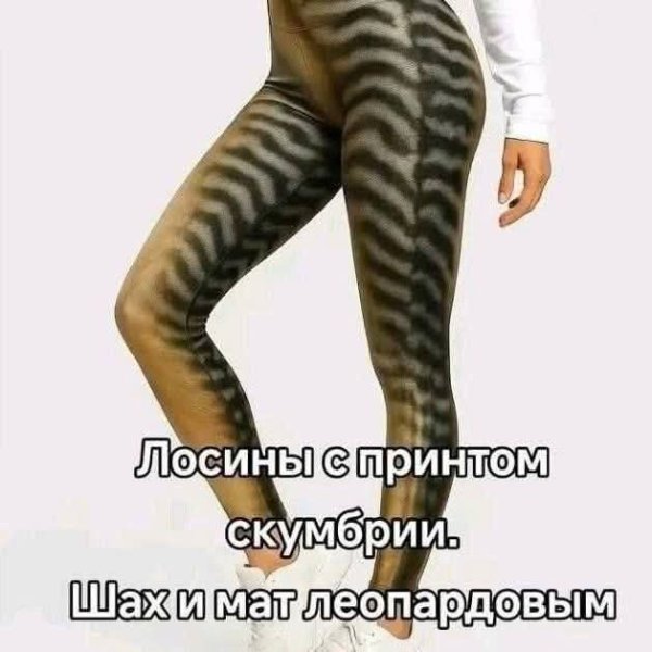 Лосины скумбрия